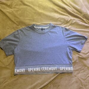 Opening Ceremony Heather Gray Crop Top